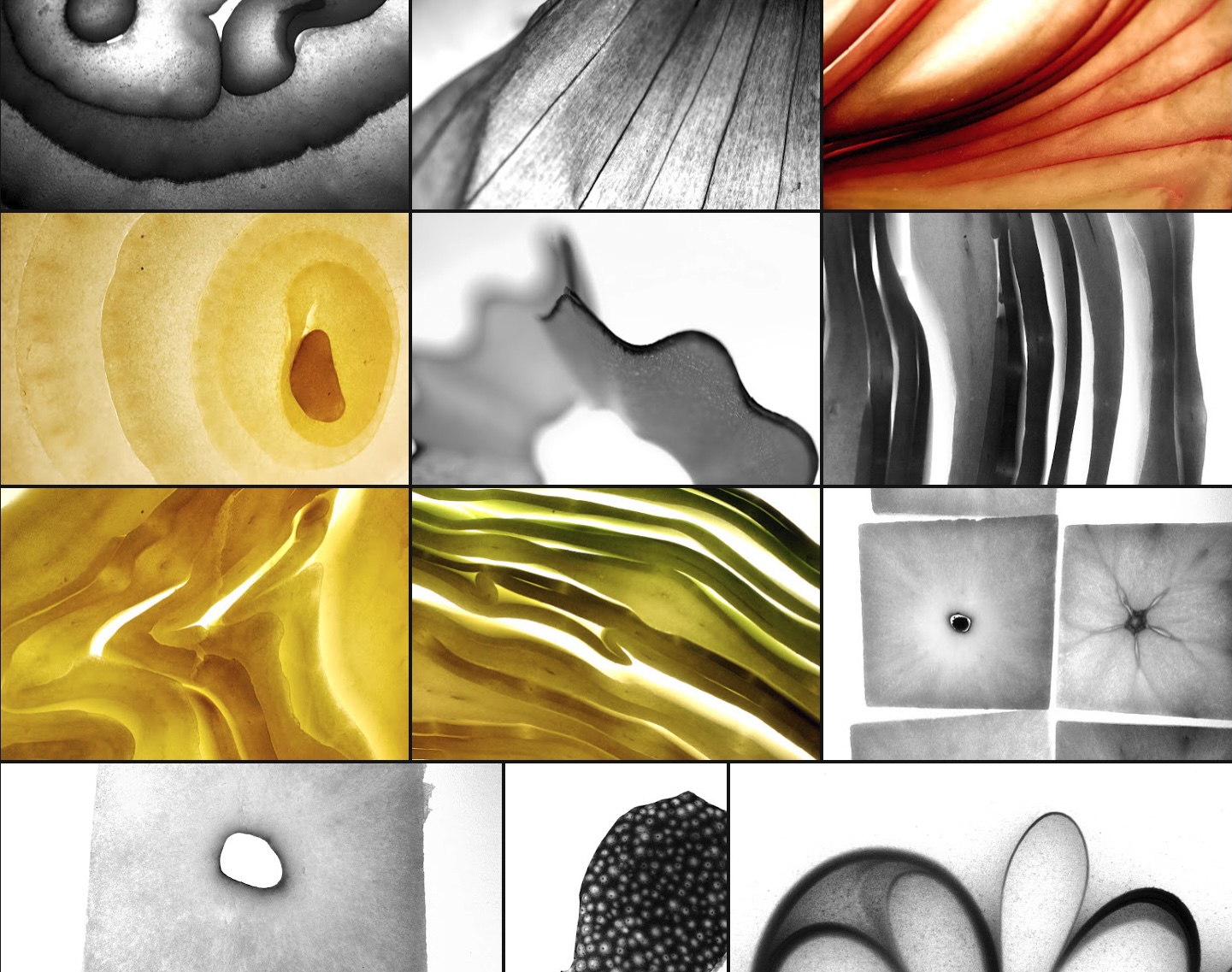 Exhibition photographs showing abstract studies of rhythm, light, and material